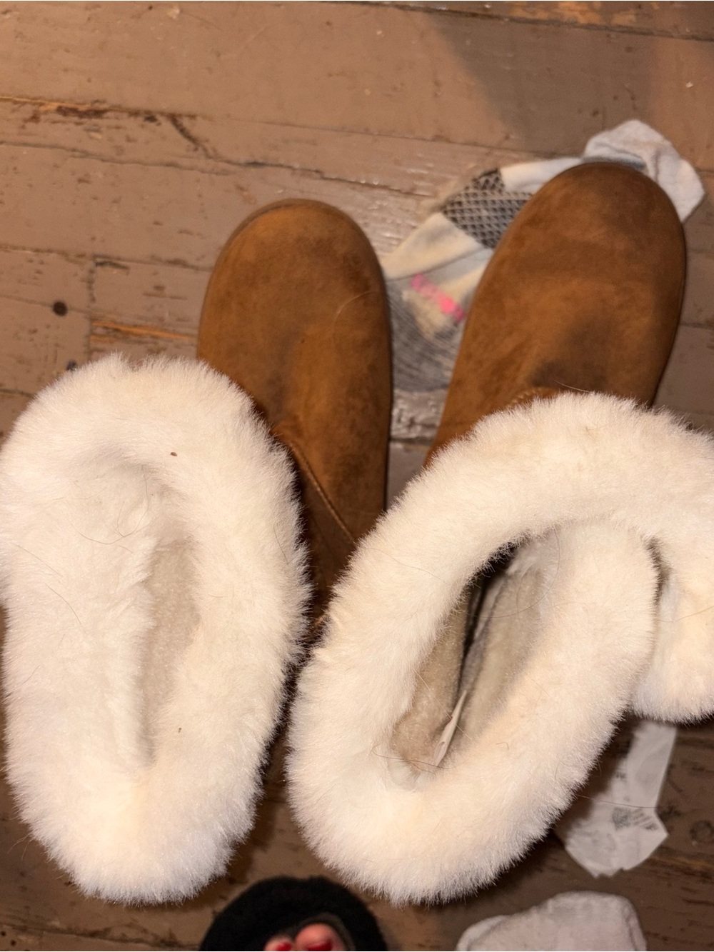 Cozy Women's Chestnut Suede Shearling Boots